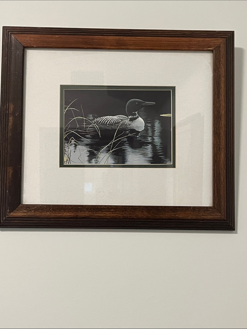 Framed Loon Wall Art in Brown Frame 13”x15”